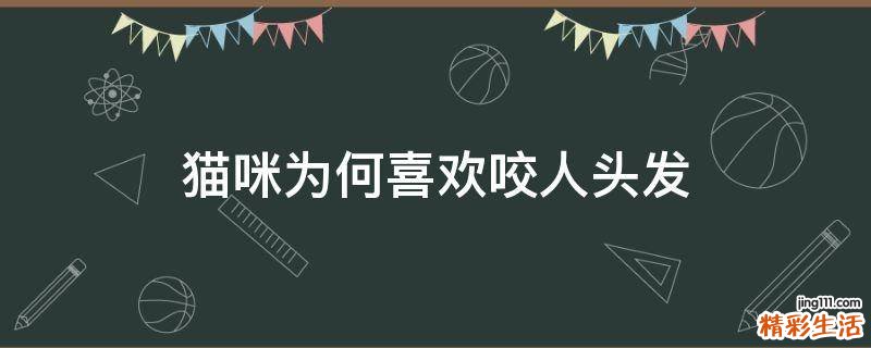 猫咪为何喜欢咬人头发
