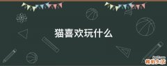 猫喜欢玩什么