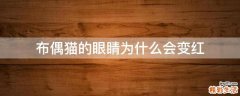 布偶猫的眼睛为什么会变红