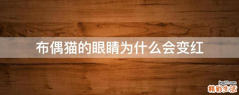 布偶猫的眼睛为什么会变红