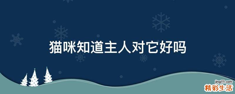 猫咪知道主人对它好吗