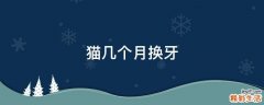 猫几个月换牙