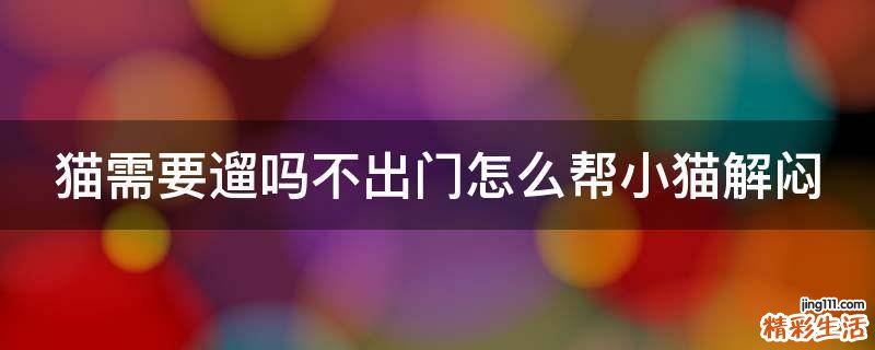 猫需要遛吗不出门怎么帮小猫解闷