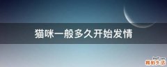 猫咪一般多久开始发情