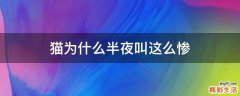 猫为什么半夜叫这么惨