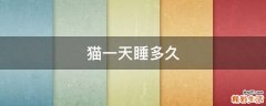 猫一天睡多久
