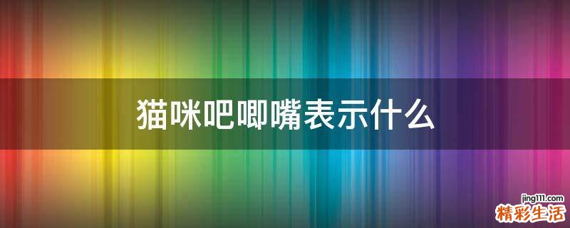 猫咪吧唧嘴表示什么
