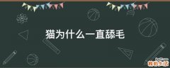猫为什么一直舔毛