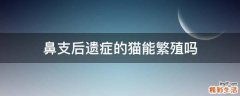 鼻支后遗症的猫能繁殖吗