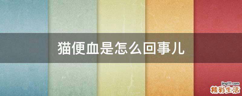 猫便血是怎么回事儿