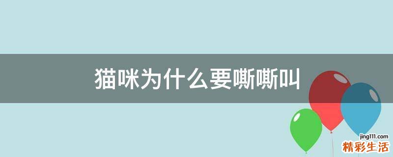 猫咪为什么要嘶嘶叫