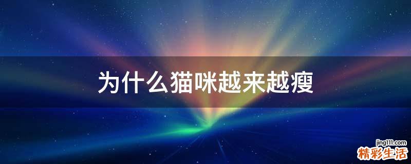 为什么猫咪越来越瘦