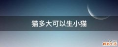 猫多大可以生小猫