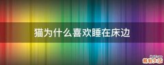 猫为什么喜欢睡在床边
