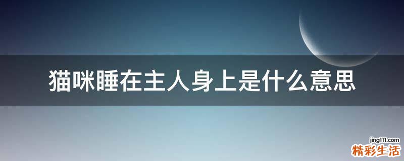 猫咪睡在主人身上是什么意思
