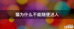 猫为什么不能随便送人