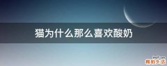 猫为什么那么喜欢酸奶