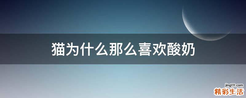 猫为什么那么喜欢酸奶