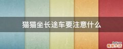 猫猫坐长途车要注意什么