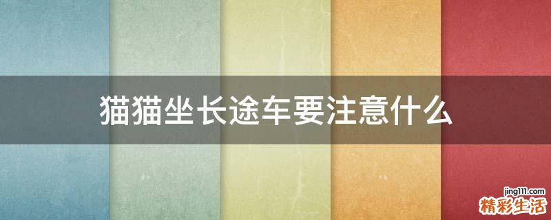 猫猫坐长途车要注意什么