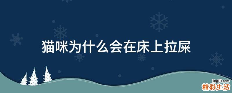 猫咪为什么会在床上拉屎
