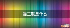 猫三联是什么