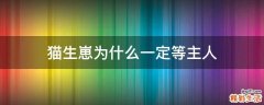猫生崽为什么一定等主人