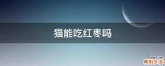 猫能吃红枣吗