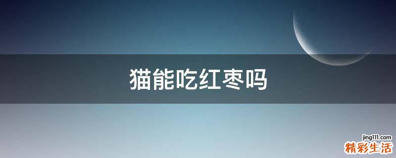 猫能吃红枣吗