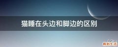 猫睡在头边和脚边的区别