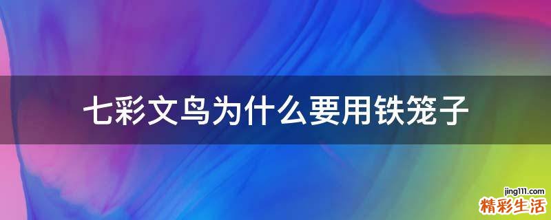 七彩文鸟为什么要用铁笼子