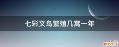 七彩文鸟繁殖几窝一年