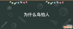 为什么鸟怕人