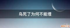 鸟死了为何不能埋