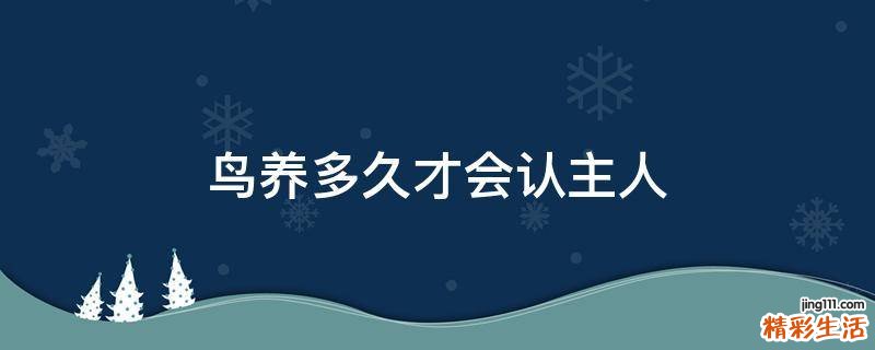 鸟养多久才会认主人