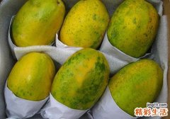 木瓜能生吃吗 木瓜催熟的方法