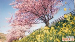 2 注意：头痛患者警惕颅内动脉瘤