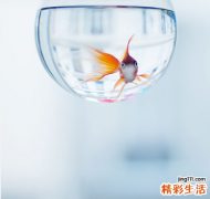 3 女性正确应对9种“心理恐惧症”