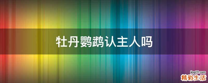 牡丹鹦鹉认主人吗