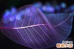 胎痣的原因_胎痣是怎么引起的