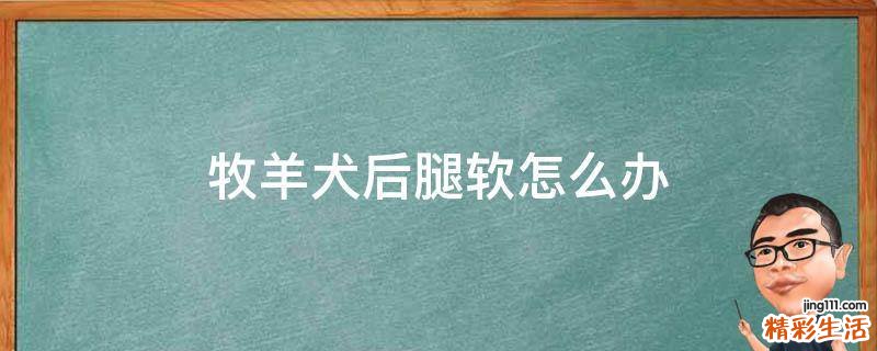 牧羊犬后腿软怎么办