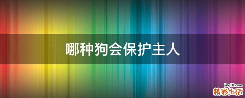 哪种狗会保护主人