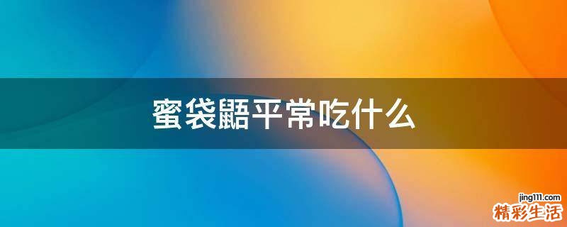 蜜袋鼯平常吃什么