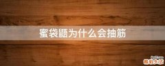 蜜袋鼯为什么会抽筋