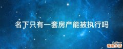名下只有一套房产能被执行吗