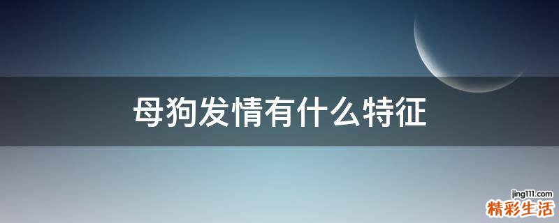 母狗发情有什么特征