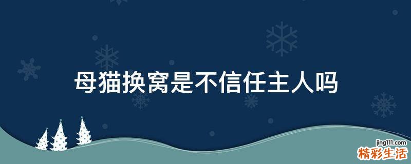 母猫换窝是不信任主人吗