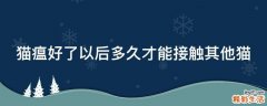 猫瘟好了以后多久才能接触其他猫