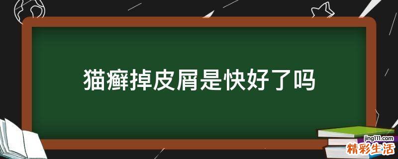猫癣掉皮屑是快好了吗