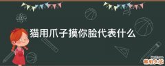 猫用爪子摸你脸代表什么